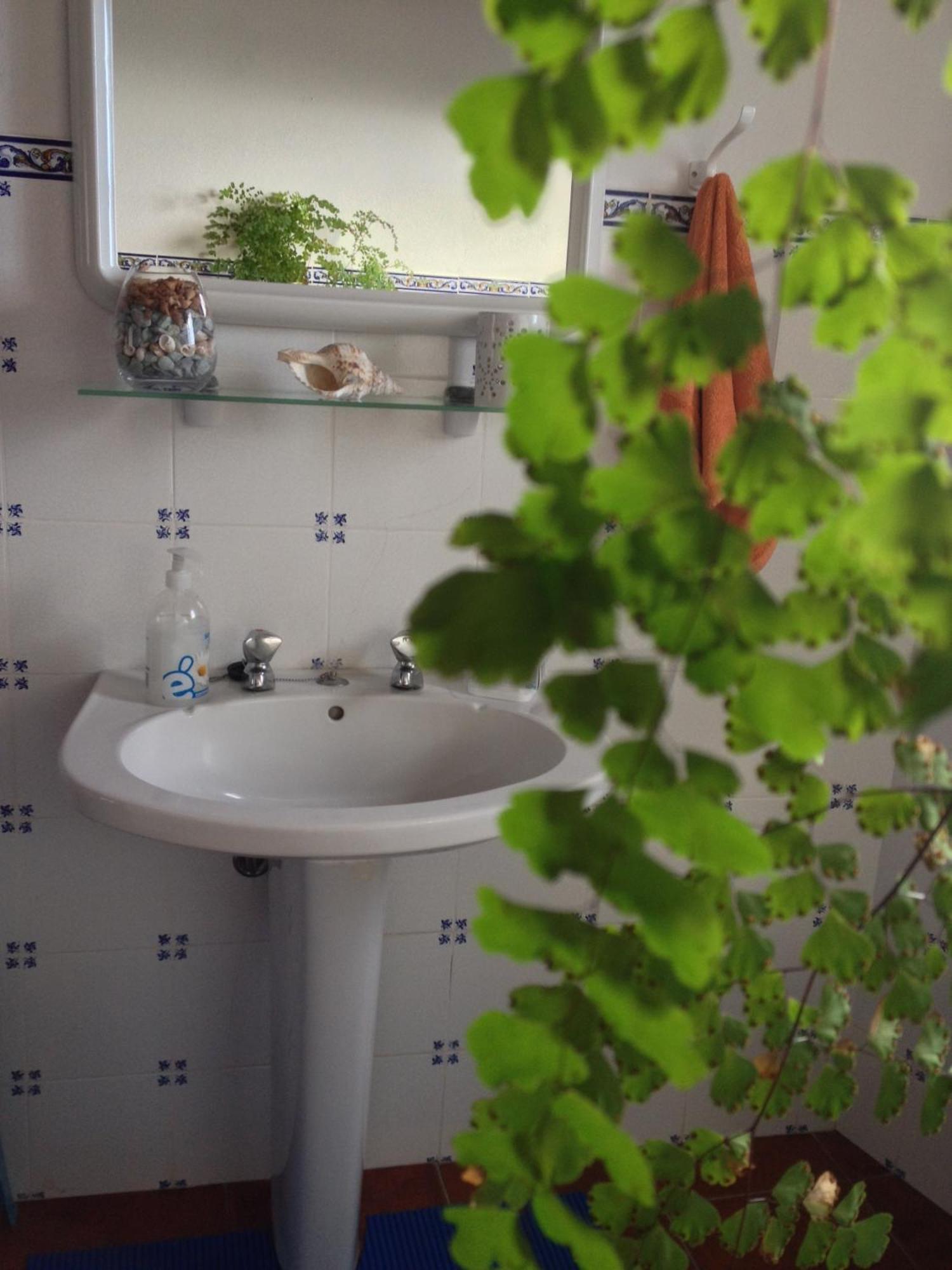 Holiday home Sea House Ribeira Seca do Porto